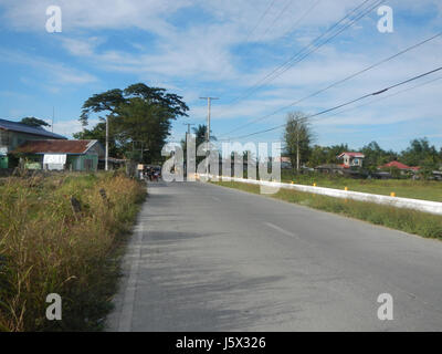 Questa fotografia cattura le risaie e le praterie di Sumacab Sur Norte nella città di Cabanatuan, mostrando il paesaggio agricolo della regione nel centro di Luzon, Filippine. Foto Stock