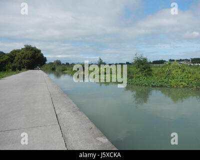 Fotografia di risaie a Lumang Bayan, Agnaya, Sipat Banga, vicino all'aeroporto di Plaridel a Bulacan, Filippine, identificate con il numero di riferimento 0079. Foto Stock