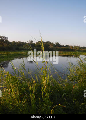 Questa immagine raffigura i lavori di costruzione sulle rive del fiume Angat, tra cui laghetti, insenature e protezione dei pendii attraverso tecniche di riprap lungo la Baliuag Road a Bulacan, Filippine. Foto Stock