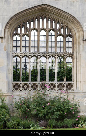 King's College casa di gate e archi , Università di Cambridge Foto Stock