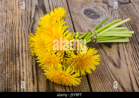 Mazzetto di tarassaco giallo su sfondo di legno. Foto Studio Foto Stock