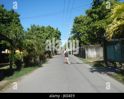 Il Diospyros Blancoi, noto anche come Mabolo, è un albero fruttifero che si trova a Plaridel, Bulacan. La costruzione di strade intorno alla regione migliora l'accesso alle aree locali, a vantaggio dell'agricoltura e delle comunità locali. Foto Stock