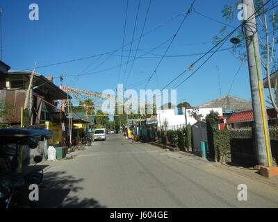 04544 Diospyros blancoi Dampol Rueda Plaridel Pungo Calumpit Bulacan 12 Foto Stock