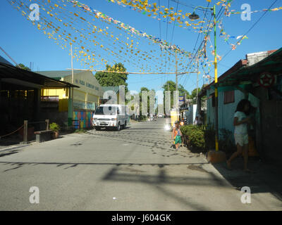 04544 Diospyros blancoi Dampol Rueda Plaridel Pungo Calumpit Bulacan 15 Foto Stock