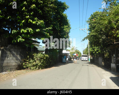 04544 Diospyros blancoi Dampol Rueda Plaridel Pungo Calumpit Bulacan 21 Foto Stock