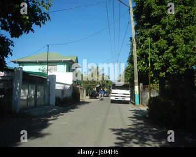 04544 Diospyros blancoi Dampol Rueda Plaridel Pungo Calumpit Bulacan 22 Foto Stock