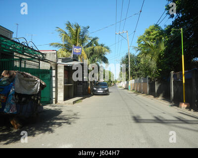 04544 Diospyros blancoi Dampol Rueda Plaridel Pungo Calumpit Bulacan 23 Foto Stock