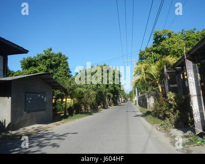 04544 Diospyros blancoi Dampol Rueda Plaridel Pungo Calumpit Bulacan 28 Foto Stock