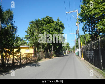 04544 Diospyros blancoi Dampol Rueda Plaridel Pungo Calumpit Bulacan 30 Foto Stock