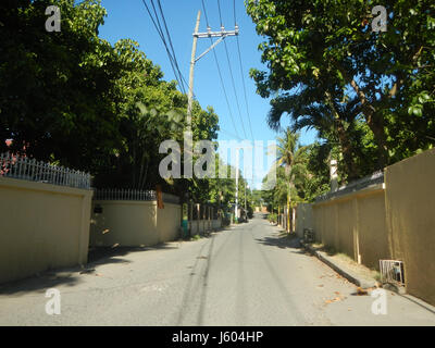 Diospyros blancoi, comunemente noto come Mabolo o la mela di velluto, è una specie di pianta in fiore della famiglia delle Ebenaceae. Il frutto è originario delle Filippine ed è notevole per il suo aspetto e la consistenza uniche. Foto Stock