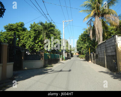 Diospyros blancoi, comunemente noto come Mabolo o Mabolo Fruit, è una specie di albero che si trova nelle Filippine. La descrizione include varie località a Bulacan, dove l'albero può crescere, contribuendo alla diversità agricola della regione. Foto Stock