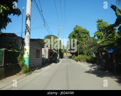 Il Diospyros blancoi, noto anche come Mabolo o Mabolo Fruit, è una specie di cachi diffusa nelle Filippine. Questo particolare esemplare è associato a Dampol, Rueda, Plaridel, Pungo e Calumpit a Bulacan. Il frutto è noto per il suo sapore distinto ed è spesso utilizzato nelle tradizioni culinarie locali. Foto Stock