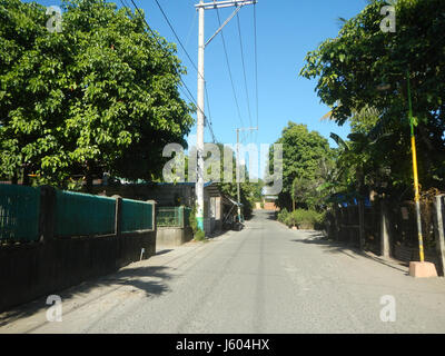 04544 Diospyros blancoi Dampol Rueda Plaridel Pungo Calumpit Bulacan 36 Foto Stock