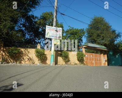 04544 Diospyros blancoi Dampol Rueda Plaridel Pungo Calumpit Bulacan 39 Foto Stock