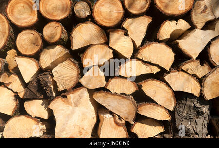 Pila di log. Un mucchio di recente a tagliare rotoli pronti per il fuoco Foto Stock