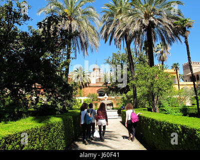 Giardini dell'Alcazar di Siviglia, in Andalusia, provincia di Siviglia, Spagna, Europa, patrimonio mondiale dell UNESCO Foto Stock