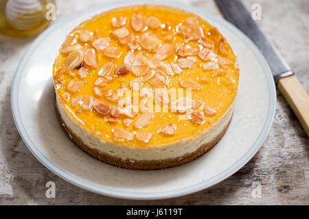 Miele e in stile greco yogurt cheesecake Foto Stock