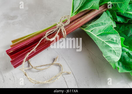 Fresche biologiche degli steli di rabarbaro con foglie di cemento grigio sfondo di pietra. Spazio per il testo Foto Stock