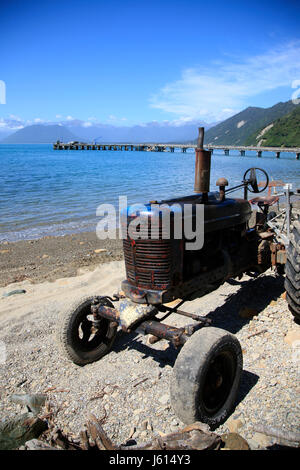 Jackson Bay Nuova Zelanda Isola del Sud Costa Ovest Foto Stock