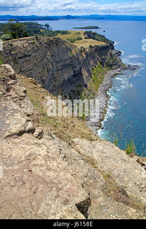 Le falesie fossili su Maria Island Foto Stock