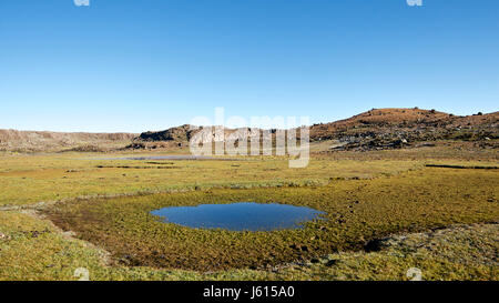 Africa, Etiopia, Dinsho, montagne di balle. Foto Stock