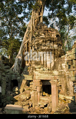 Il Ta Prohm tempio di Angkor, Siem Reap, Cambogia, spesso chiamato "Tomb Raider tempio" grazie al suo aspetto in Tomb Raider film. Foto Stock
