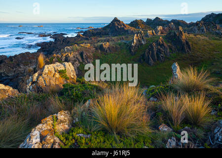 Sarah Anne rocce - Tarkine - Tasmania - Australia Foto Stock