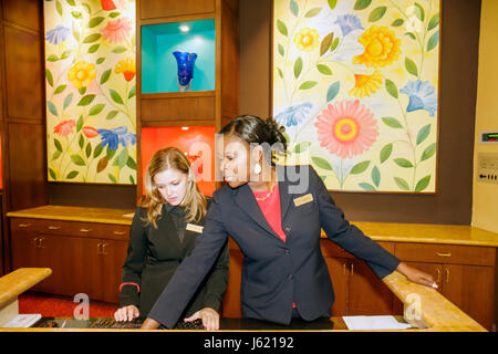 Charleston South Carolina,Marriott Charleston,hotel,Black woman female adult adults,impiegato,check-in alla reception prenotazioni Foto Stock