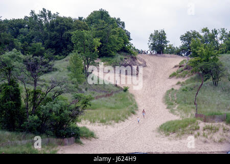 Indiana Chesterton, Indiana Dunes state Park, Lake Michigan Devil's Slide, National Lakeshore, Riserva Naturale, terra protetta, sabbia, ecosistema, proce eoliane Foto Stock