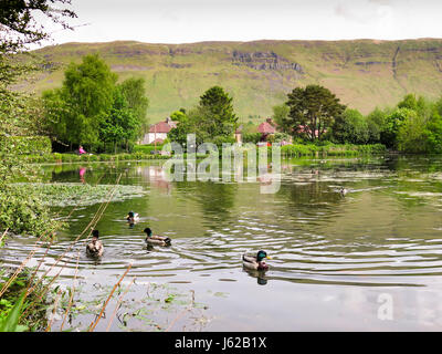 Whitefield stagno, East Dunbartonshire. Il 19 maggio 2017. Regno Unito Meteo. Bella mattina di primavera a Whitefield laghetto, un parco suburbano in Manchester. Credito: ALAN OLIVER/Alamy Live News Foto Stock