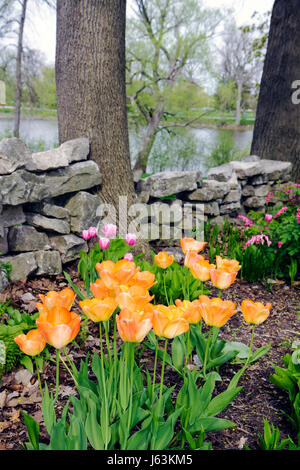 Michigan Saginaw County, Saginaw, Montague Inn, Bed and Breakfast, Historic Inn, inizio primavera, lago Linton, fiume Saginaw, giardino, Foto Stock