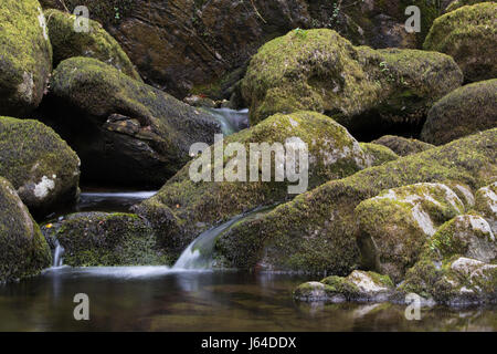 Ruscello di montagna che scorre su moss-coperto le rocce nel Parco Nazionale di Snowdonia, Galles Foto Stock