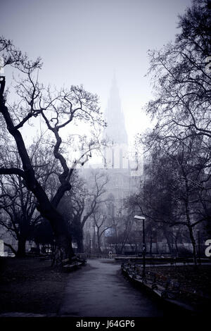 Albero davanti al municipio di Vienna, Austria Foto Stock