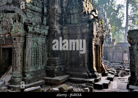 Stock Photo - Jungle overgrowth a Ta Prohm Temple (Rajavihara), Angkor, Sito Patrimonio Mondiale dell'UNESCO, Siem Reap Provincia, Cambogia Foto Stock