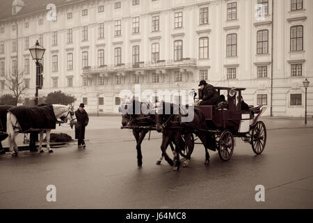 Carrello cacciato per le strade di Vienna, Austia Foto Stock