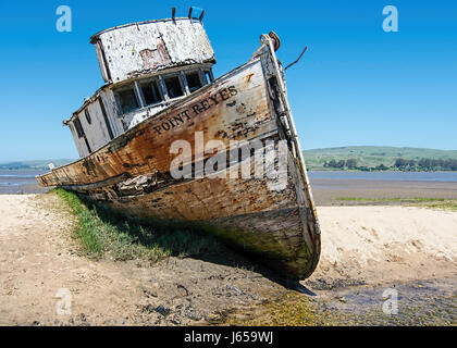 Parte anteriore vista laterale di una nave abbandonata a Inverness, Point Reyes National Seashore, Marin County, California, USA, sulla giornata soleggiata con cielo blu Foto Stock