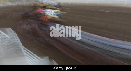 Movimento sfocate di chuckwagon racing all annuale Calgary Stampede, Calgary, Alberta, Canada Foto Stock