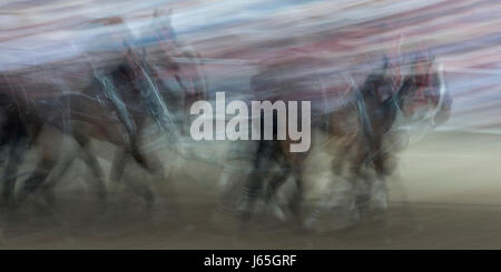 Movimento sfocate di chuckwagon racing all annuale Calgary Stampede, Calgary, Alberta, Canada Foto Stock