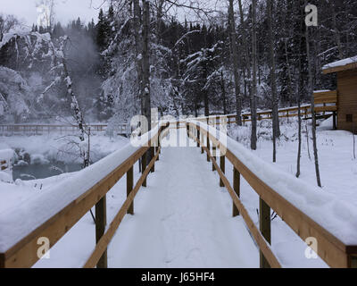 Ponte di legno in una coperta di neve Foresta Fiume Liard Hot Springs Parco Provinciale, Northern Rockies municipalità regionale, British Columbia, Canada Foto Stock