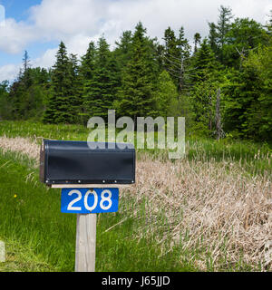 Cassetta postale nel campo erboso, Kensington, Prince Edward Island, Canada Foto Stock