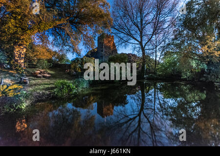 Moonlight riflessione della Chiesa e alberi Foto Stock