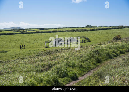 Cappella della Madonna e di San Non, vicino a St Davids, Pembrokeshire, Wales, Regno Unito Foto Stock