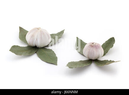 Boccioli di Loto da giovani bulbi di aglio e foglie di alloro, perfettamente isolato su sfondo bianco Foto Stock