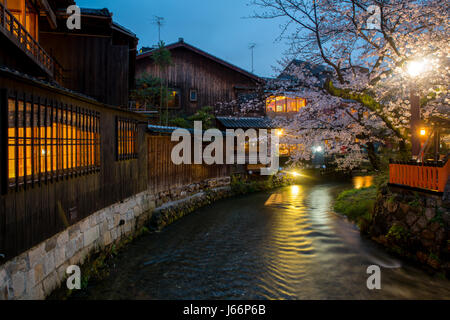 Kyoto, Giappone presso il Fiume Shirakawa nel quartiere di Gion durante la primavera. Cherry blosson stagione a Kyoto, in Giappone. Foto Stock