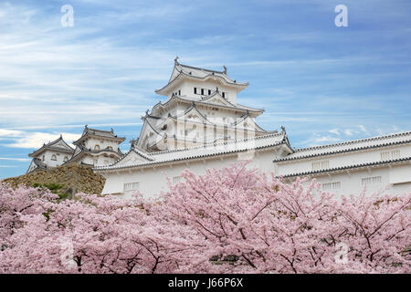 Fiore di Ciliegio fiori e il castello di Himeji Himeji, Hyogo, Giappone Foto Stock