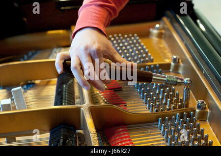 La mano di un uomo Piano Tuner Tuning un pianoforte a coda Foto Stock