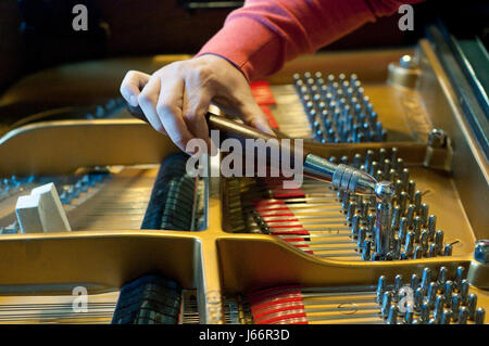 La mano di un uomo Piano Tuner Tuning un pianoforte a coda Foto Stock