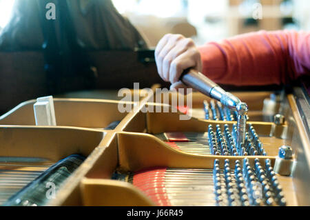 La mano di un uomo Piano Tuner Tuning un pianoforte a coda Foto Stock