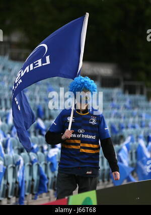 Una ventola di Leinster arriva per il Guinness PRO12, semi finale corrisponde all'Arena RDS, Dublino. Foto Stock