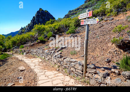 Sotto Pico Ruivo in Portogallo isola di Madera Foto Stock